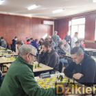 zdjęcie nr 131