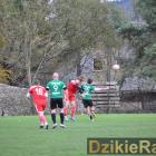 zdjęcie nr 101