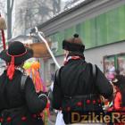 zdjęcie nr 377