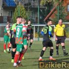 zdjęcie nr 31
