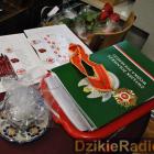 zdjęcie nr 15