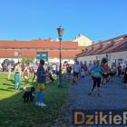 zdjęcie nr 17