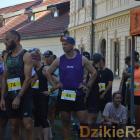 zdjęcie nr 110