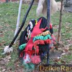 zdjęcie nr 12