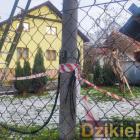 zdjęcie nr 7