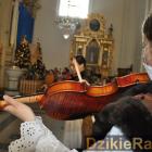 zdjęcie nr 28