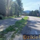 zdjęcie nr 7