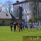zdjęcie nr 8