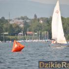 zdjęcie nr 182