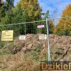 Fot: DzikieRadio®