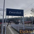Fotka nr 5 z 19