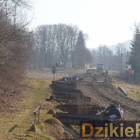 zdjęcie nr 12