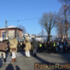 zdjęcie nr 15