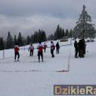 zdjęcie nr 74
