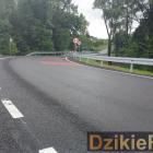 Fotka nr 5 z 6