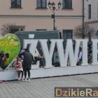 zdjęcie nr 27