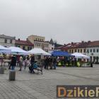 zdjęcie nr 98