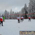zdjęcie nr 91
