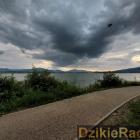 Fotka nr 4 z 10