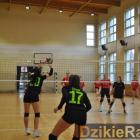 zdjęcie nr 21