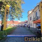 zdjęcie nr 13