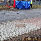 Fotka nr 3 z 6