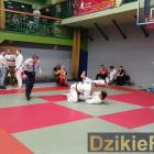 zdjęcie nr 85