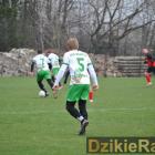 zdjęcie nr 51