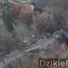 Fot: DzikieRadio®