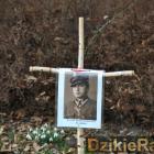 zdjęcie nr 105