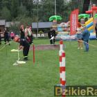zdjęcie nr 152