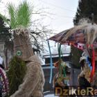 zdjęcie nr 42