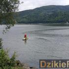 zdjęcie nr 185