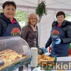 zdjęcie nr 42