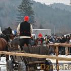 zdjęcie nr 84