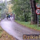 zdjęcie nr 67