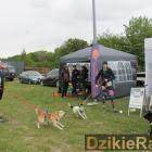 Fotka nr 4 z 62