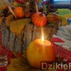 Fot. Dzikieradio
