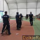 Fotka nr 4 z 41