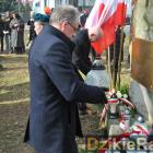zdjęcie nr 30