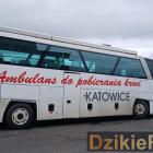 zdjęcie nr 12