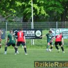 zdjęcie nr 8