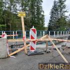 Fotka nr 2 z 10
