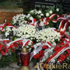 zdjęcie nr 243