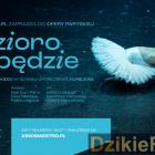 Fotka nr 3 z 8