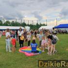 zdjęcie nr 176