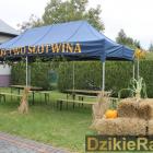 zdjęcie nr 