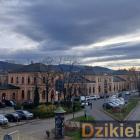 Fot. DzikieRadio