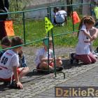zdjęcie nr 15