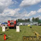 zdjęcie nr 93